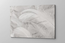 Boho obraz Biele pierka 2002